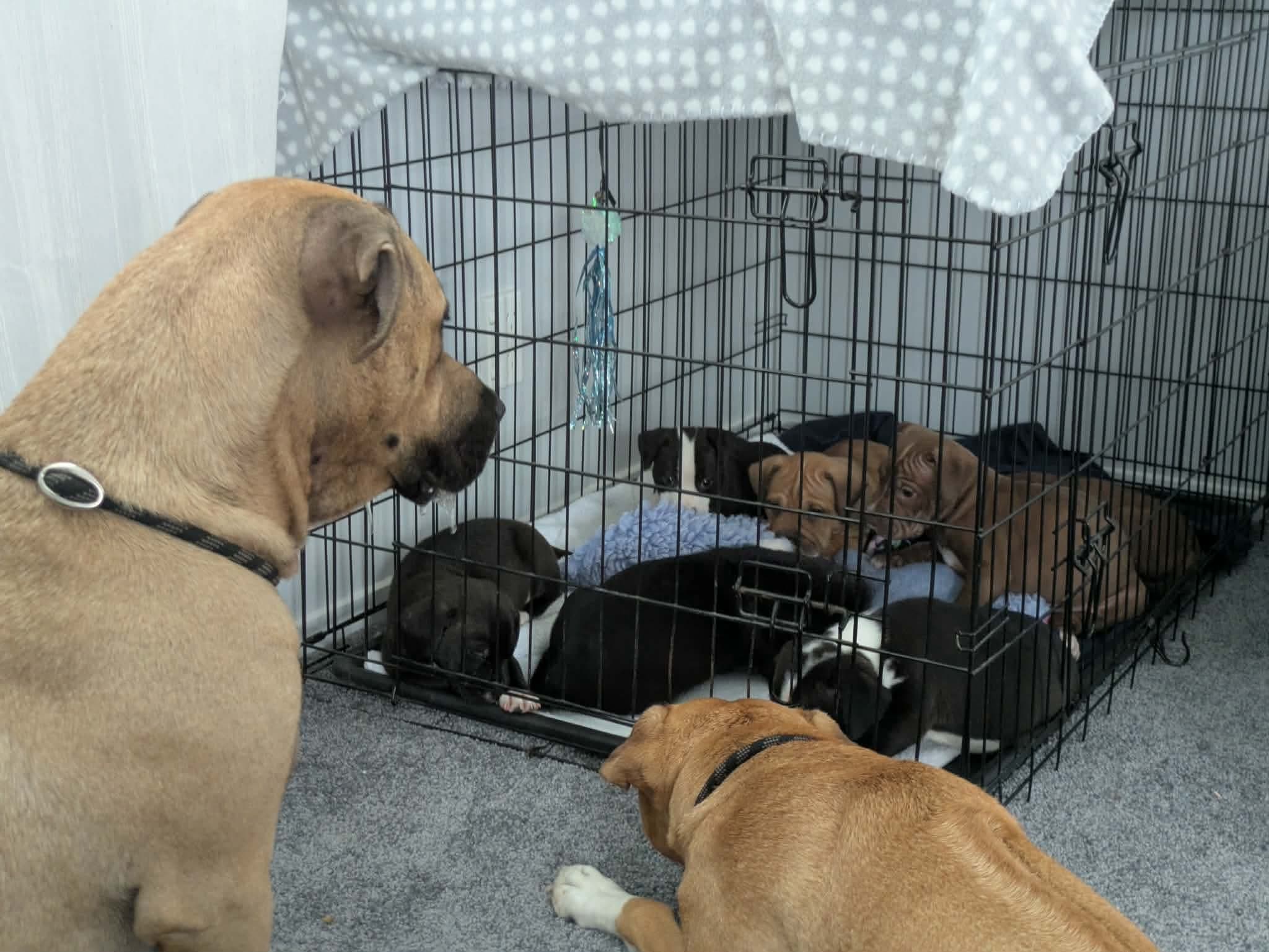 Naomi & Her Daughter 3