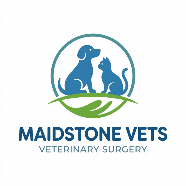 Maidstone Vets
