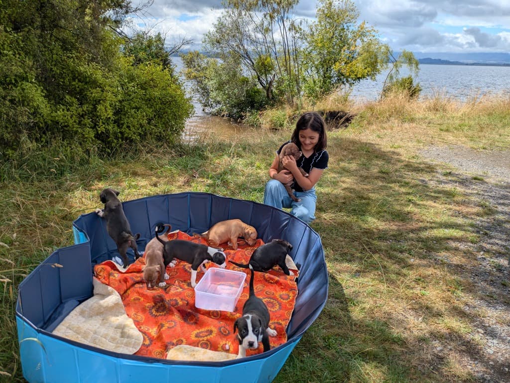 Naomi and her daughter with puppies