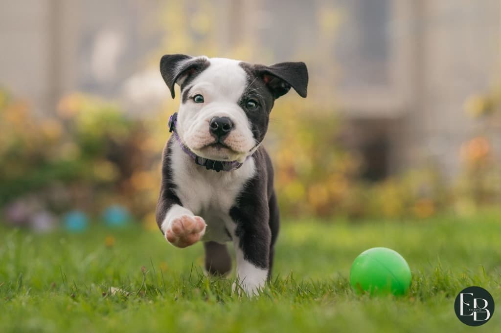 Fostering happiness
