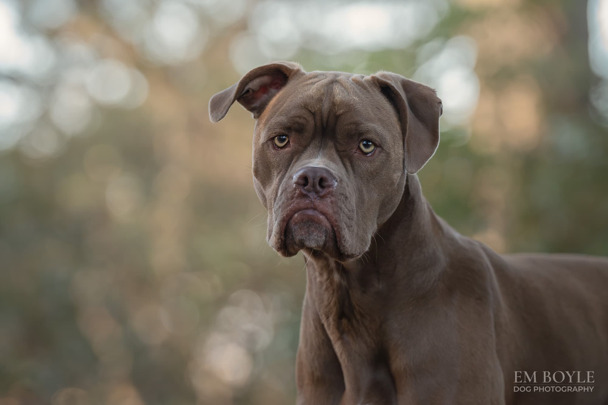 Ruby - Image 1
