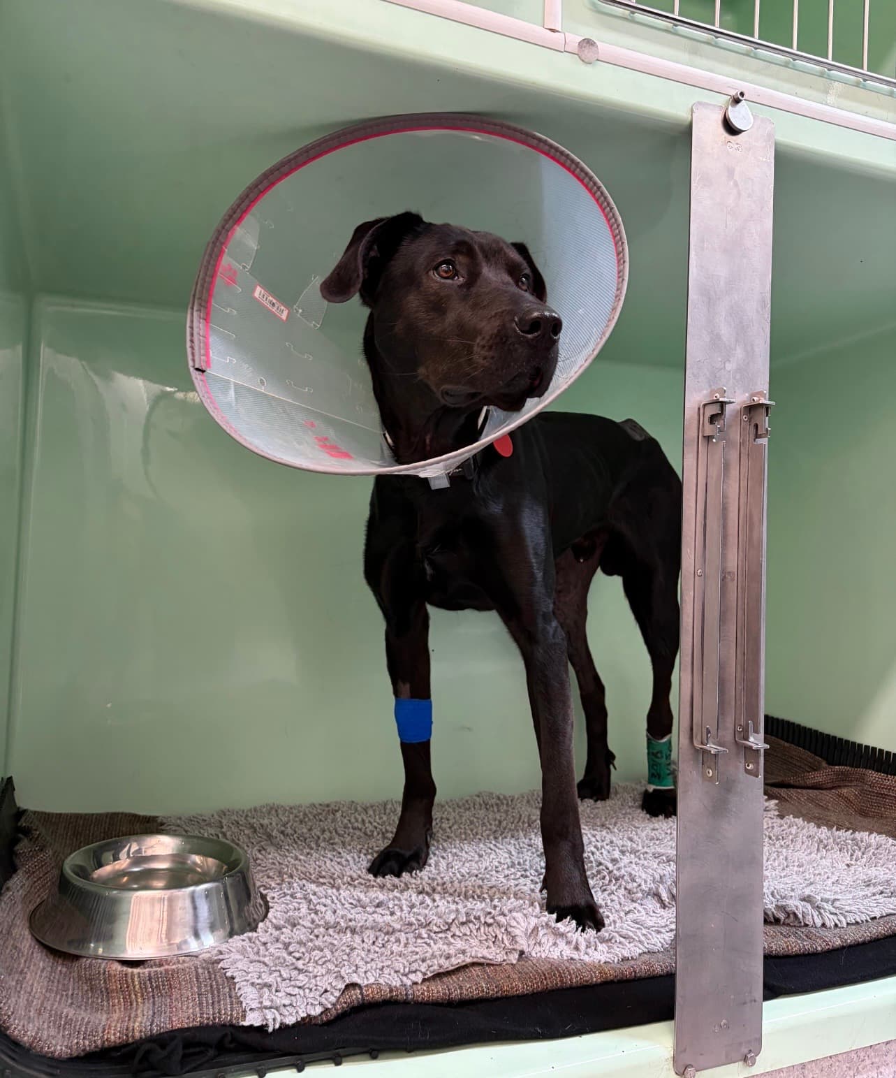 Shade's Second Chance - Image 1
